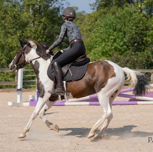 Taylor Full Seat Schooling Breeches